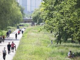 친수?치수 모두 갖춘 ‘명품하천’ 안양천 조성에 총력 기사 이미지