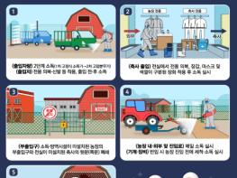 농림축산식품부, 경기 화성 산란계 농장에서 H5형 조류인플루엔자 항원 확인 기사 이미지