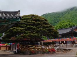 포항시, ‘2026년 열린관광지 조성사업’ 2곳 최종 선정… 국비 5억 원 확보 기사 이미지