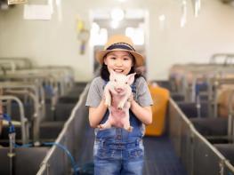 정읍시, 양돈농가에 ‘스마트’ 입힌다… 농식품부 공모사업 선정 쾌거 기사 이미지