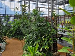 3년간 8,698건 진료한 서울시 반려식물병원, `영상·원격 진료` 도입 기사 이미지