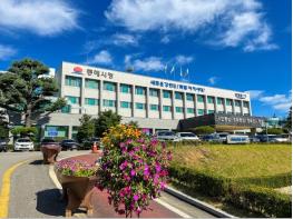 동해시, 길고양이 중성화 사업 시행.. 250마리 대상 TNR추진  기사 이미지