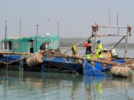 전남도, 4월 말까지 실뱀장어 불법 포획 집중관리 기사 이미지