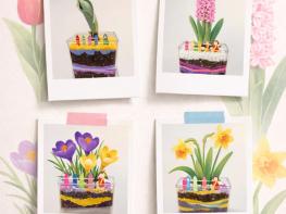 거제식물원, 3월 ‘가드닝데이’ 봄꽃 심기 체험 운영 기사 이미지