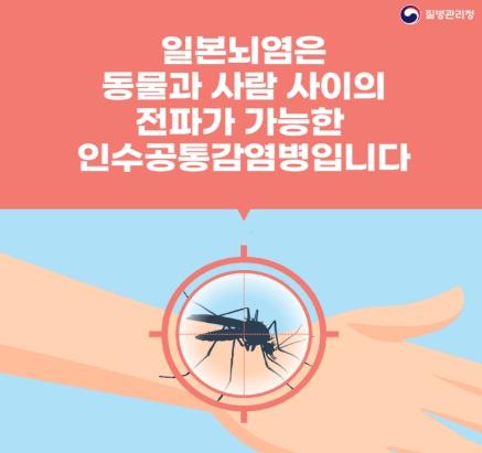 질병관리청, 일본뇌염 바이러스 검출, 전국 경보 발령