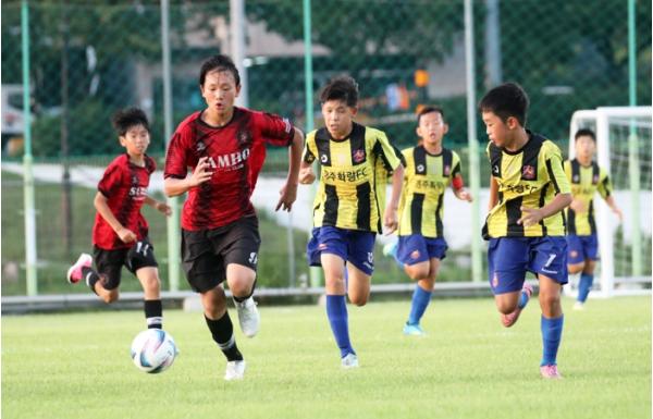전국 최대 유소년 축구축제 ‘2026 화랑대기’ 경주서 성황리 마무리 기사 이미지